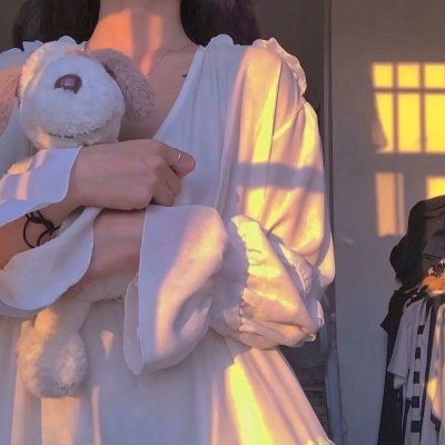 显而易见的傻瓜:电影版